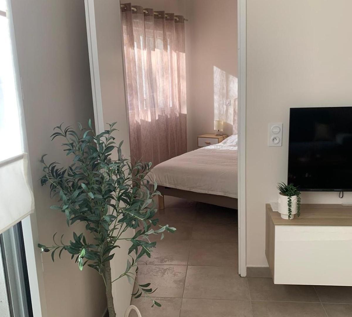Apartment Virgil Barel Nice