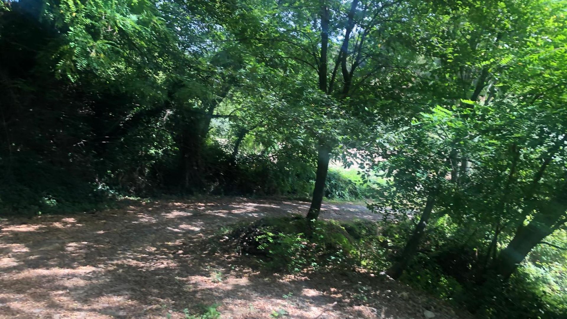 Camping Foret Proche Centre Nice