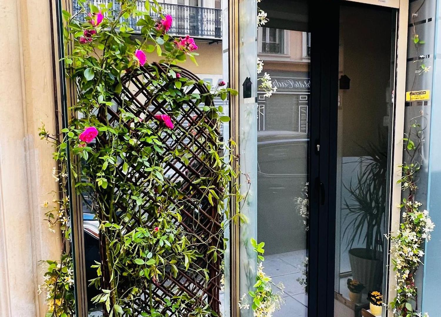 Appartement Amber - Highlights And *
