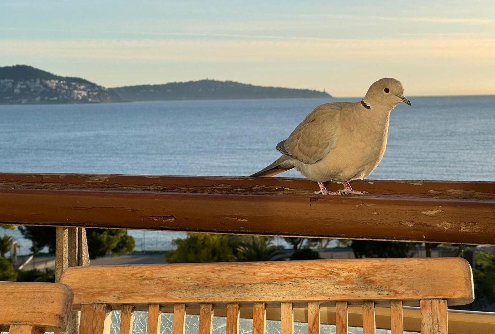 Nice, Exceptional Sea View, Floor, Parking Apartment *