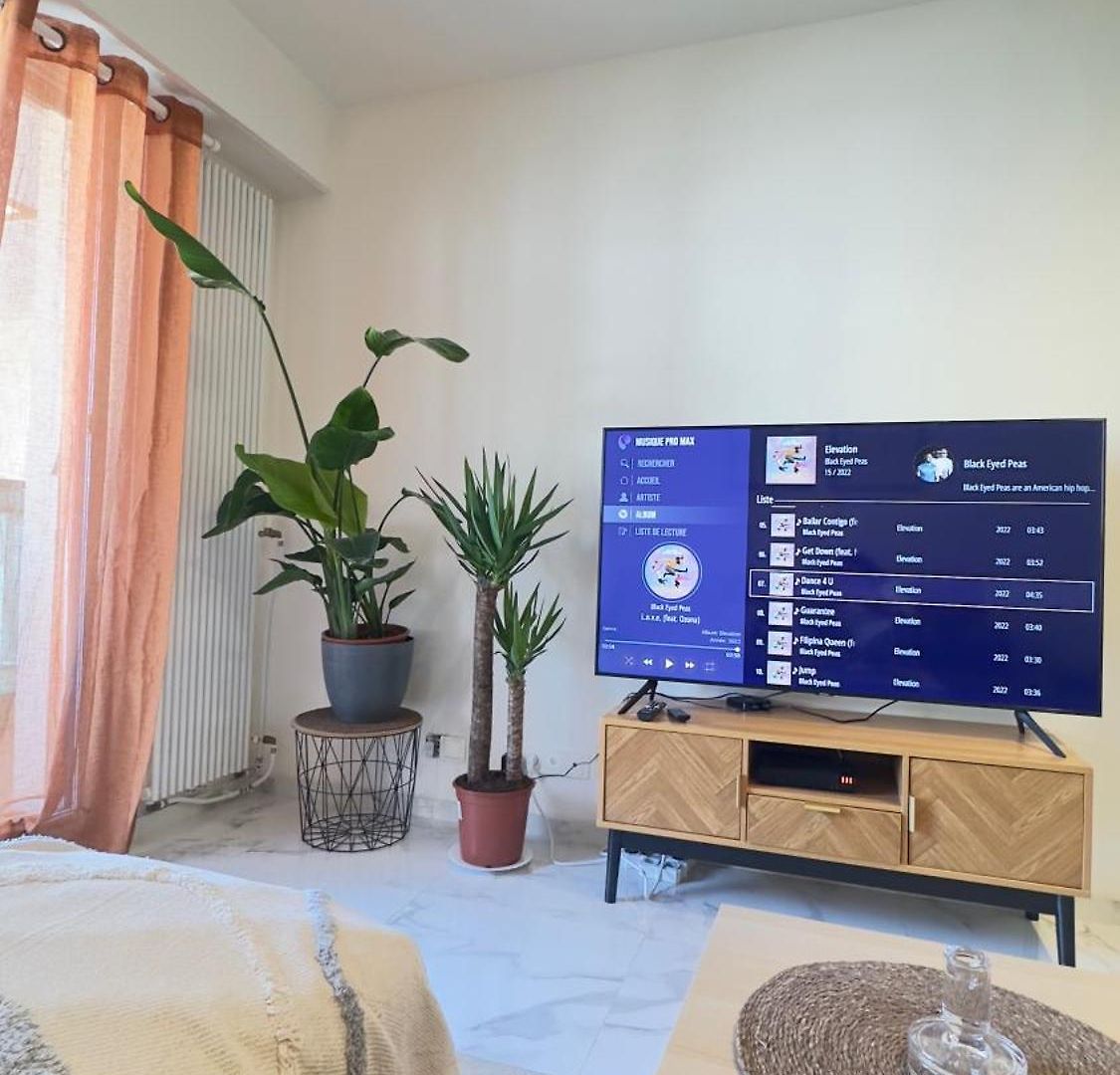 Charming And Spacious Two-room With Terrace And Ac Apartment Nice