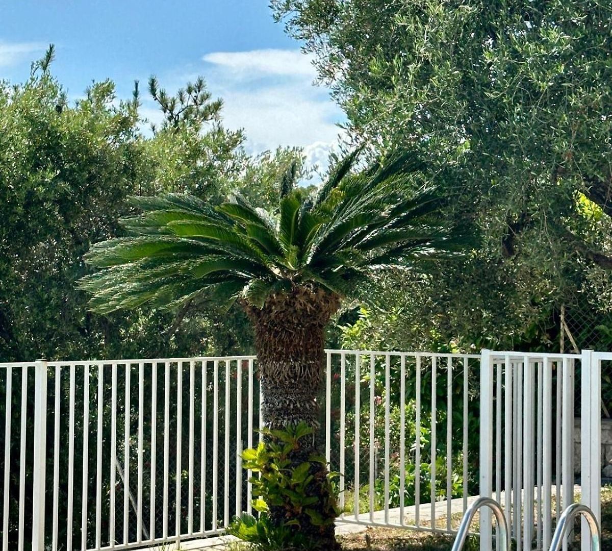 Apartment Passiflore With Garden And Private Swimming Pool *