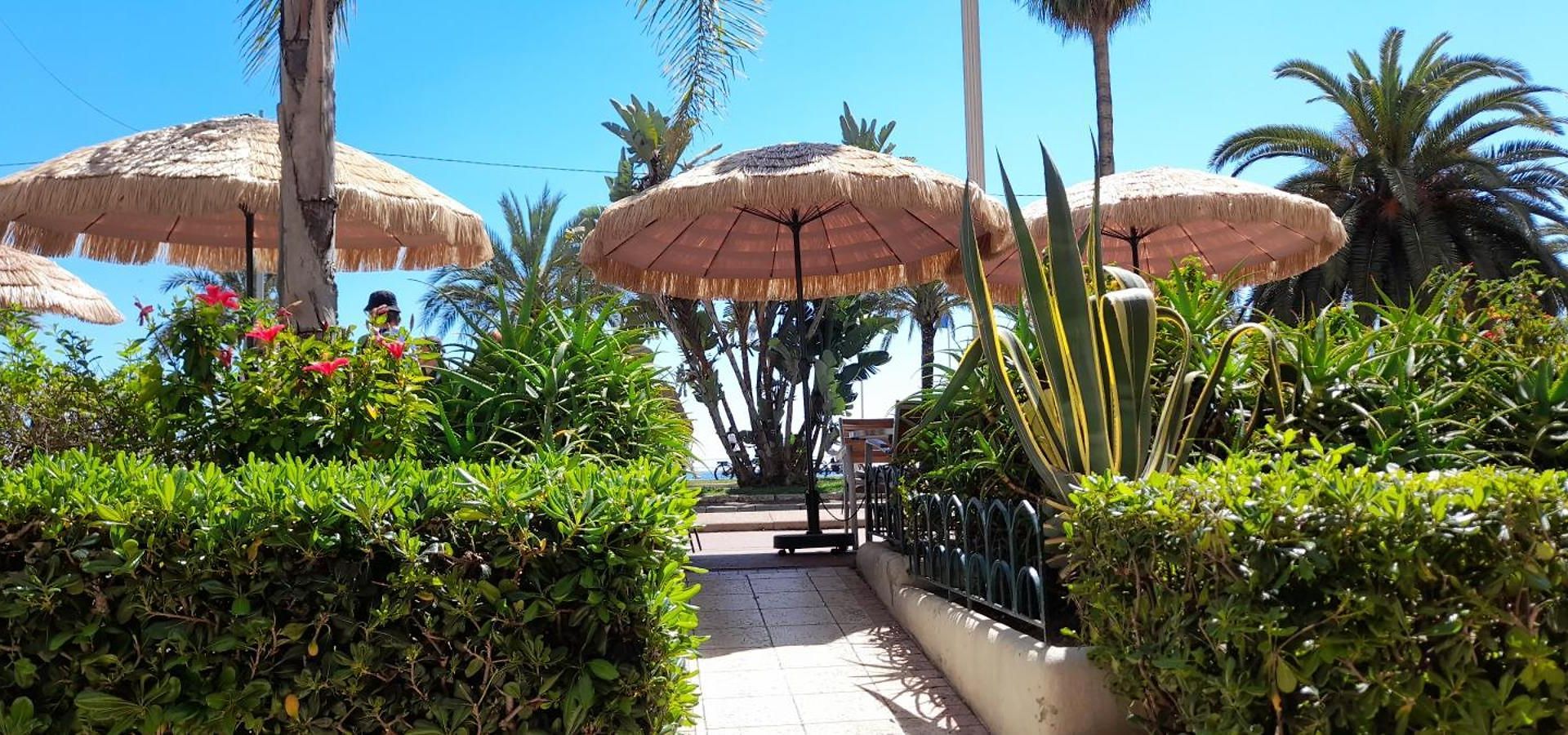 Exclusive Dans 2 Pieces 40 M2 Atypique Original Dans Grande Structure Type D'hote 80 M2 200 M Promenade Des Sejour Couette-café 4*