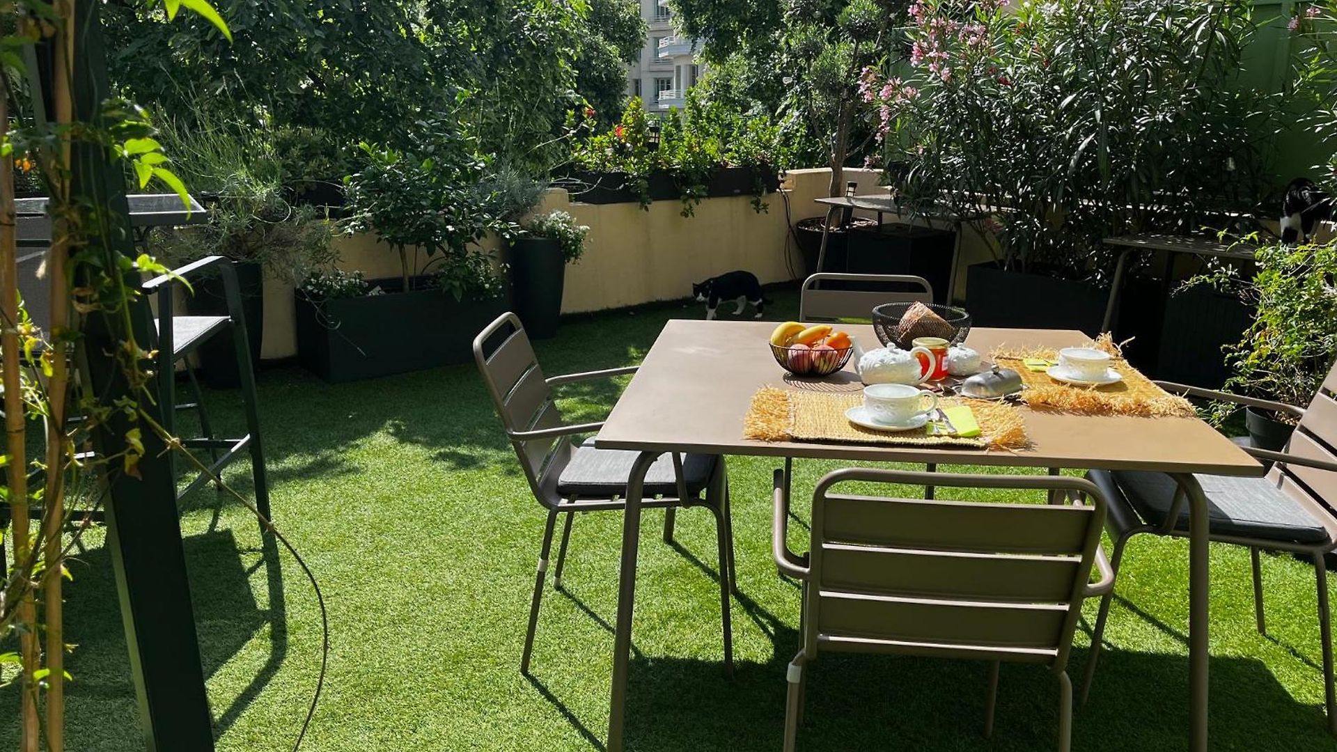 Vue Jardin Alsace Lorraine Victor Hugo Nice