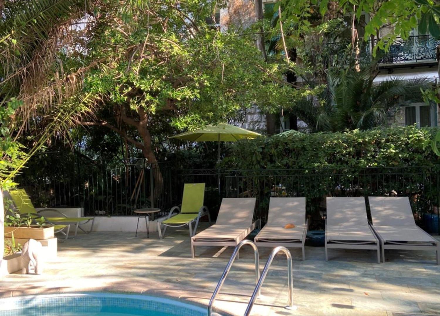 Hotel Le Windsor, Jungle Art