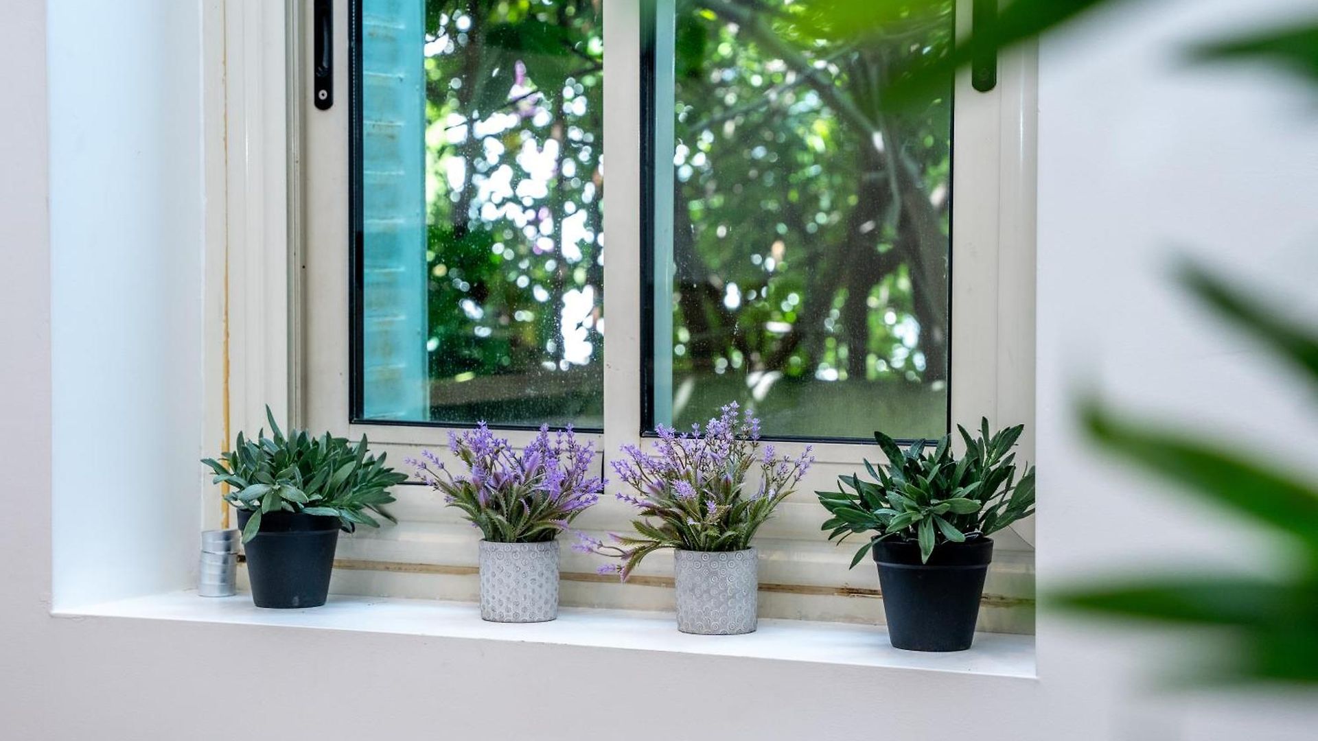 Duplex Saveria - Terrace - Netflix -