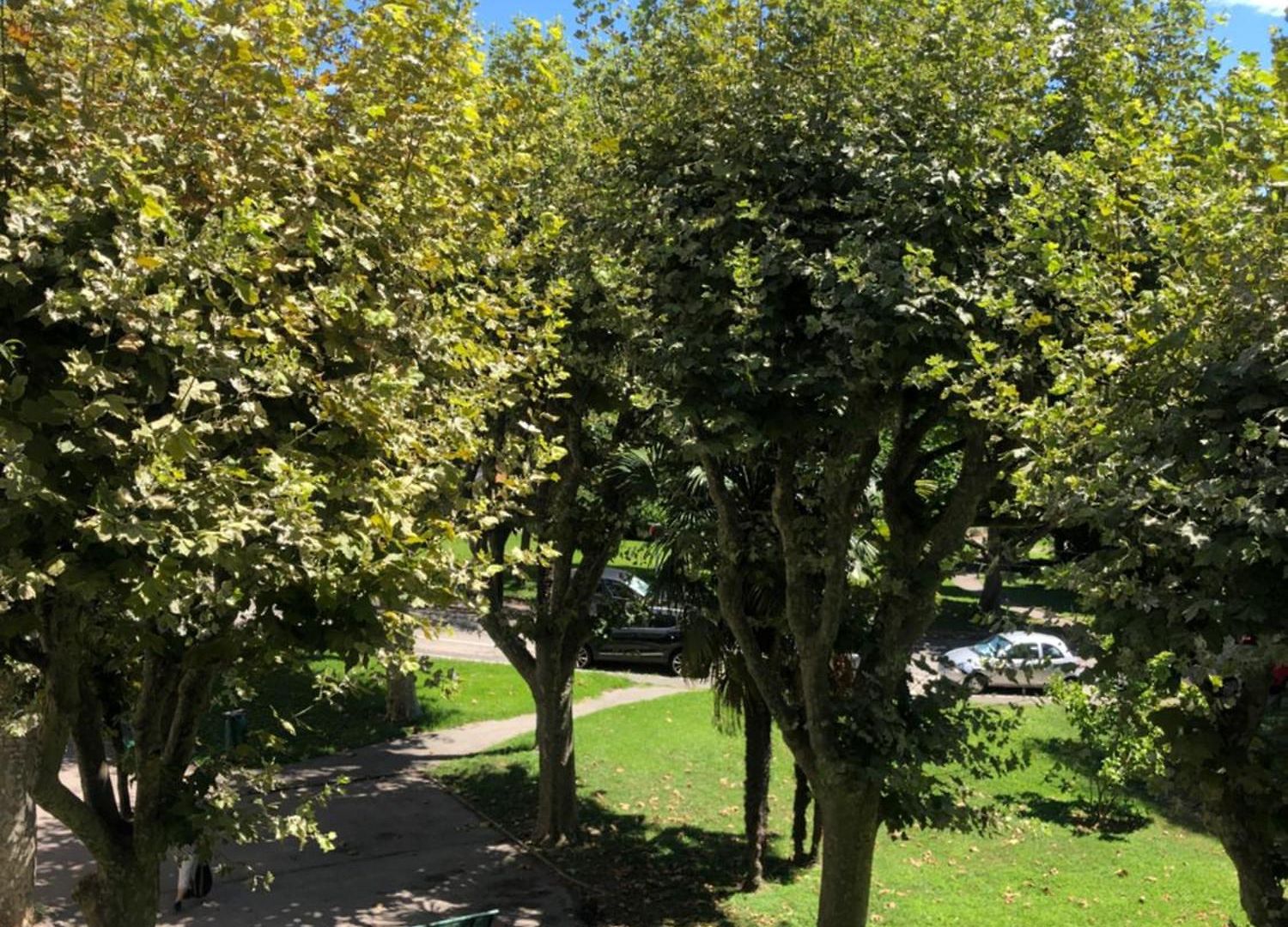 Appartement Big 20 Min From