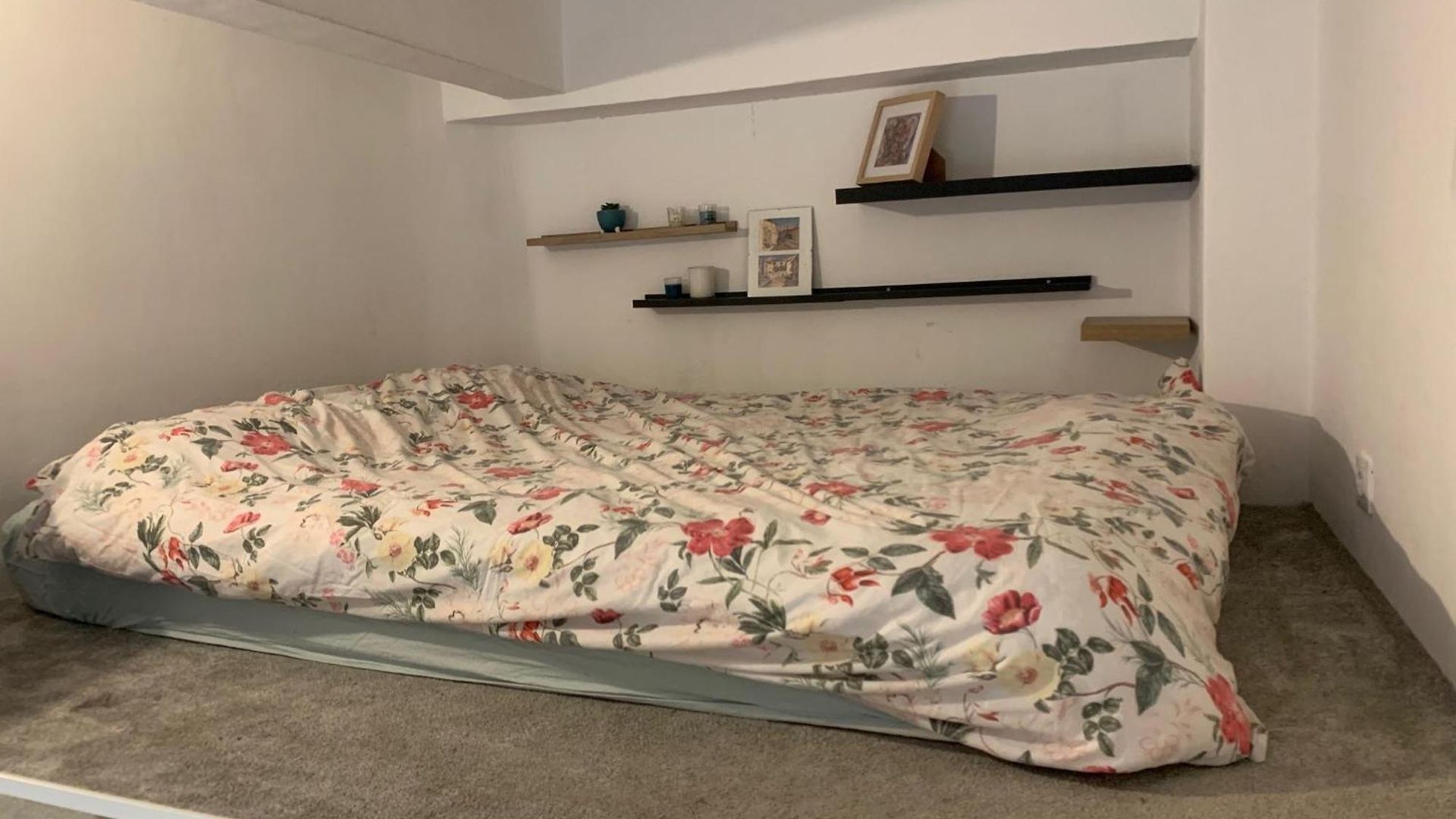 Studette Cosy Nice