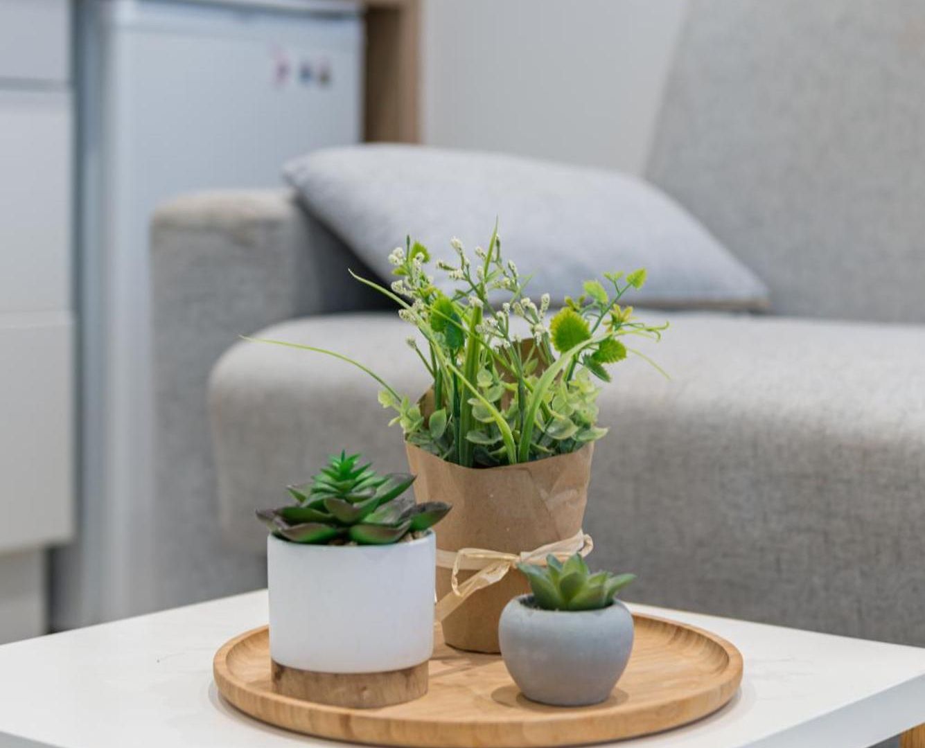 Le Cocon Niçois Appartement
