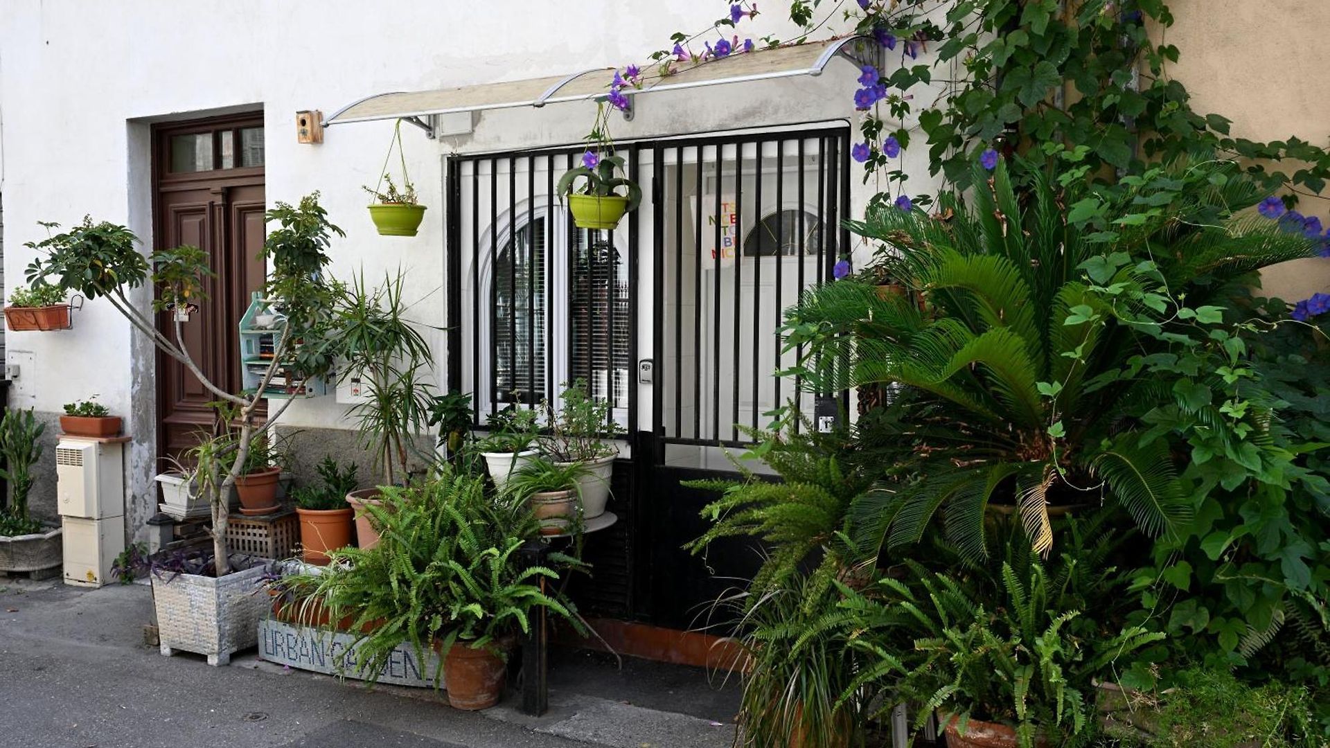 Un Jardin En *