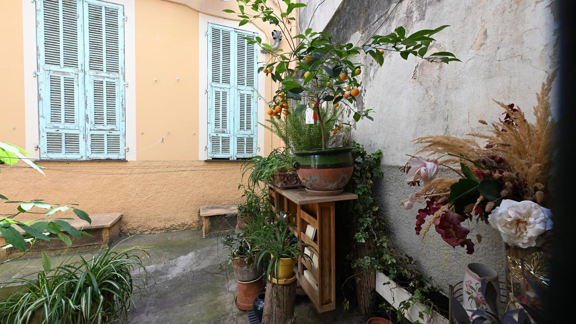 Un Jardin En Apartment *