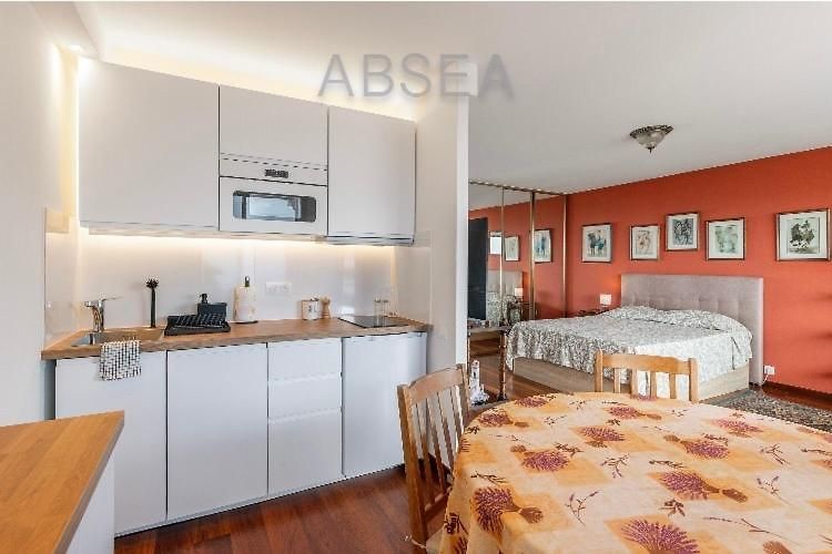 Sea View Pool Terrace Parking Appartement Nice
