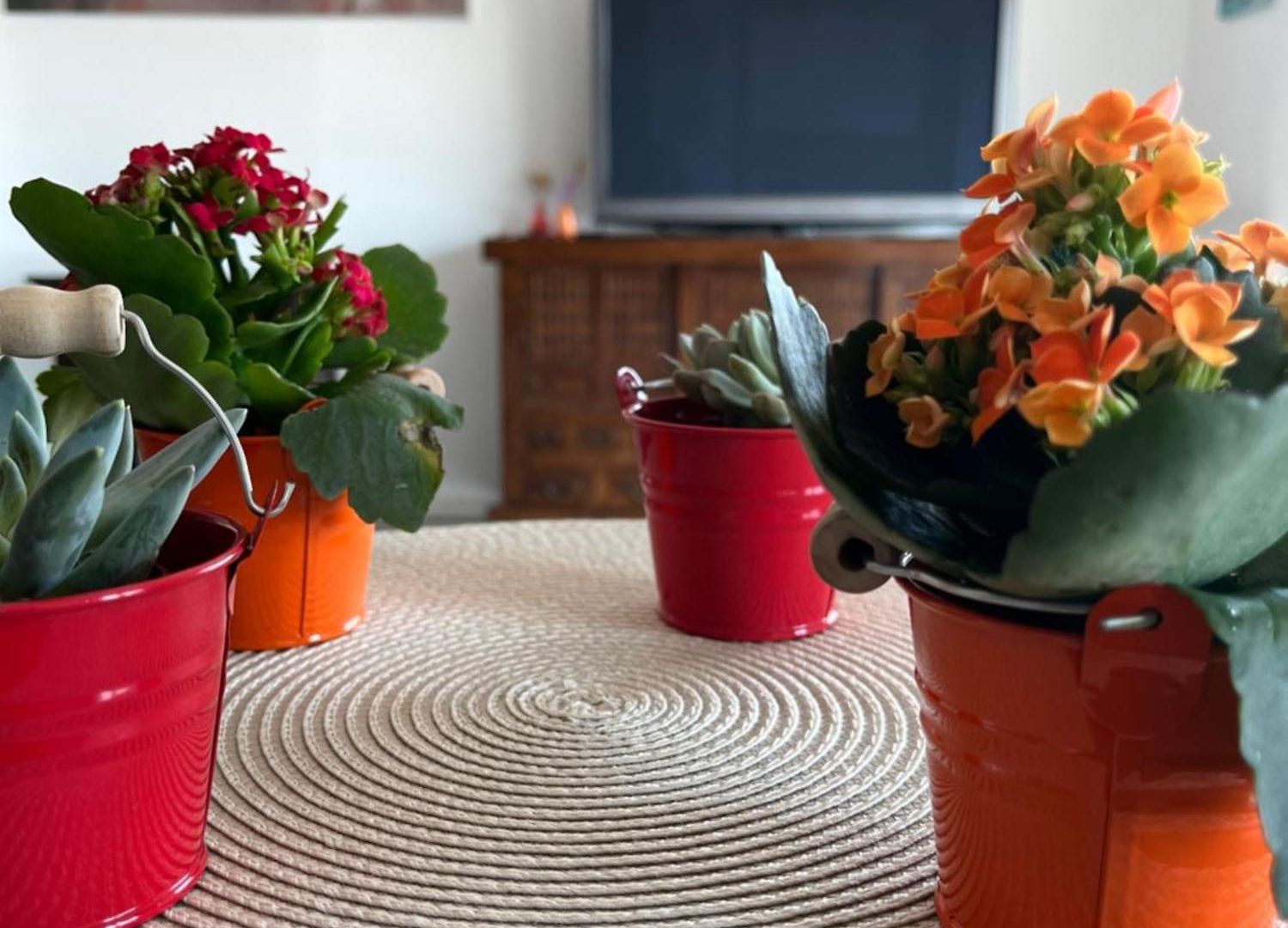 Très Beau 3 Pièces Spacieux Lumineux Et Climatisé