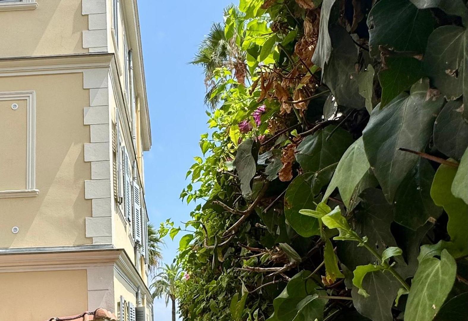 Appartement Cozy Sur La Promenade
