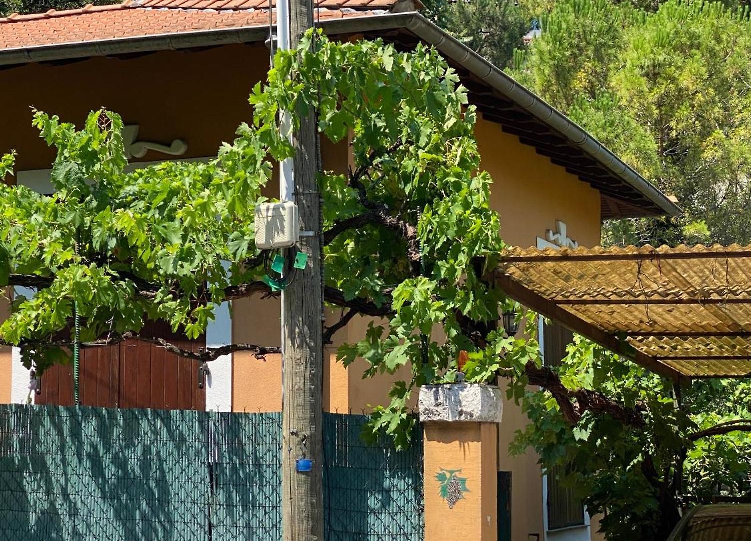 Hébergement de vacances Serenice - F2 Au Calme, Climatisé, Wifi Et Parking Gratuit
