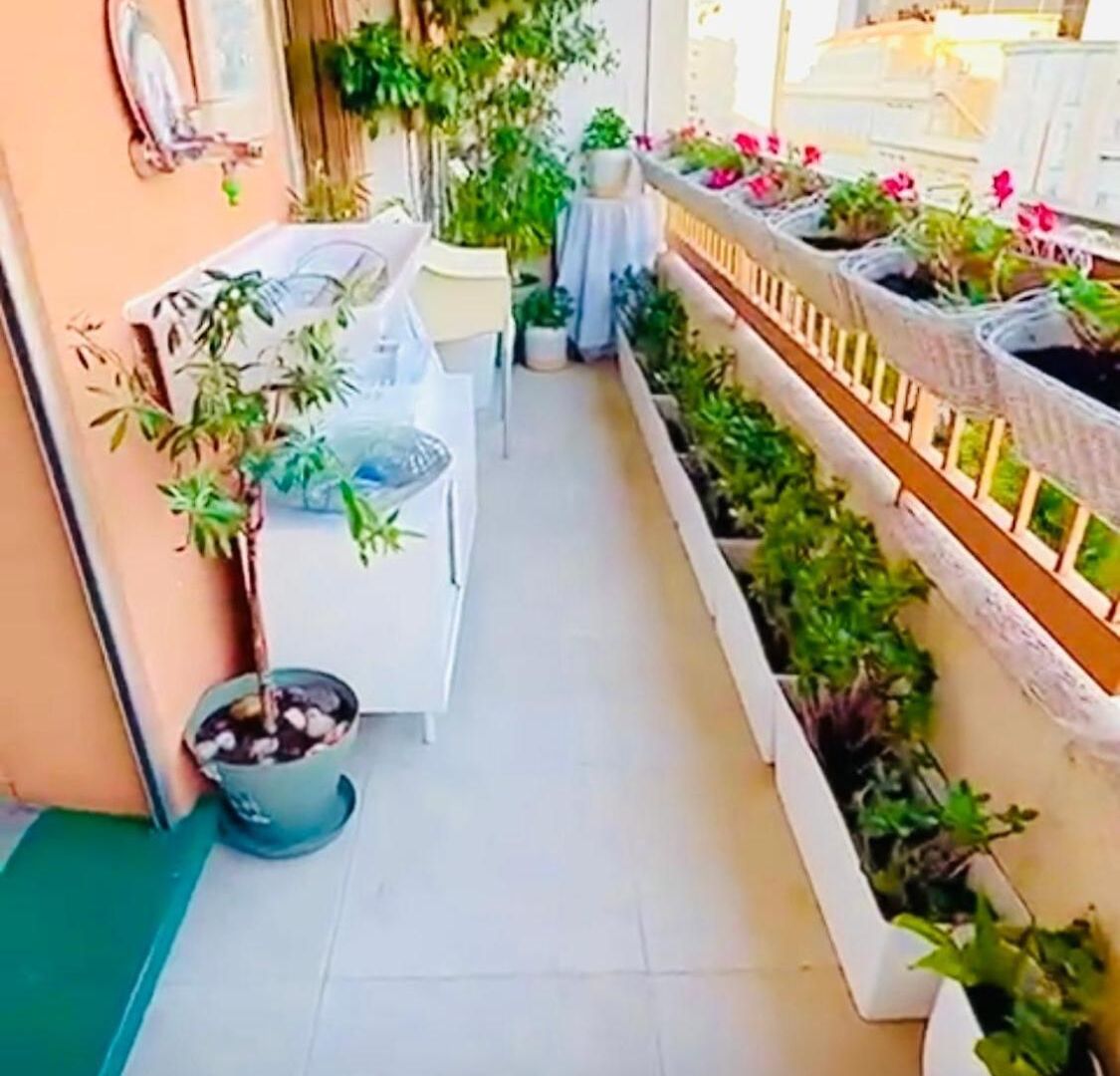 Sweet Apartment *