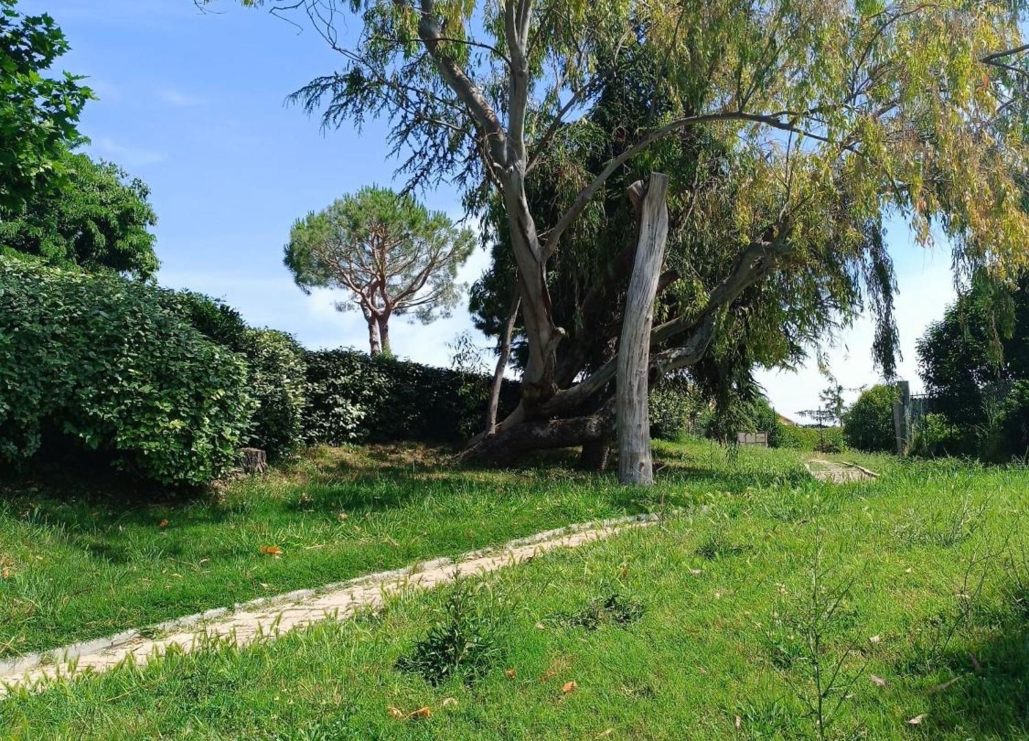 Maison Hauteur Nice