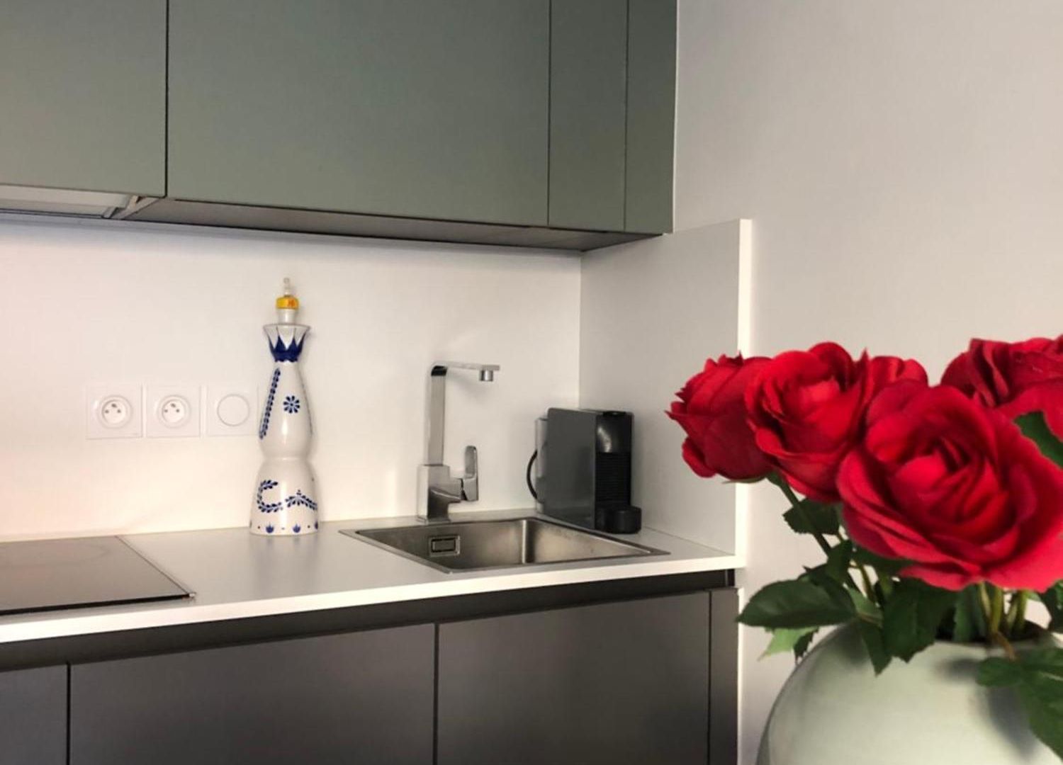 Le Clio Hyper Centre Proche Promenade Appartement