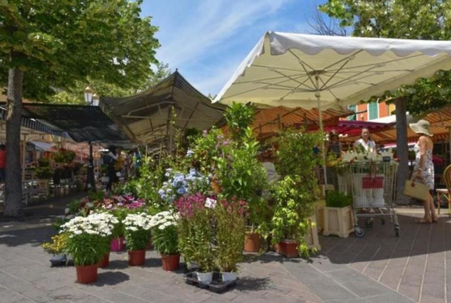 Jardin Tropical, Parking, Climatisation Appartement Nice