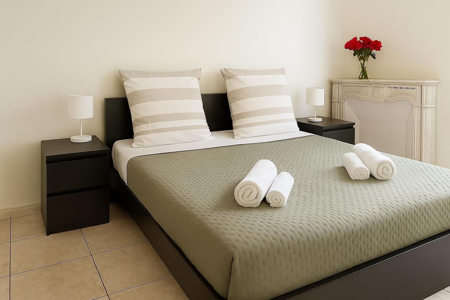 Spacieux Climatisé Centre Appartement