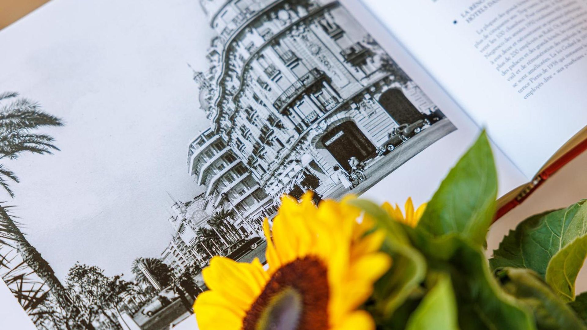 Feel - Cais De Pierlas Appartement