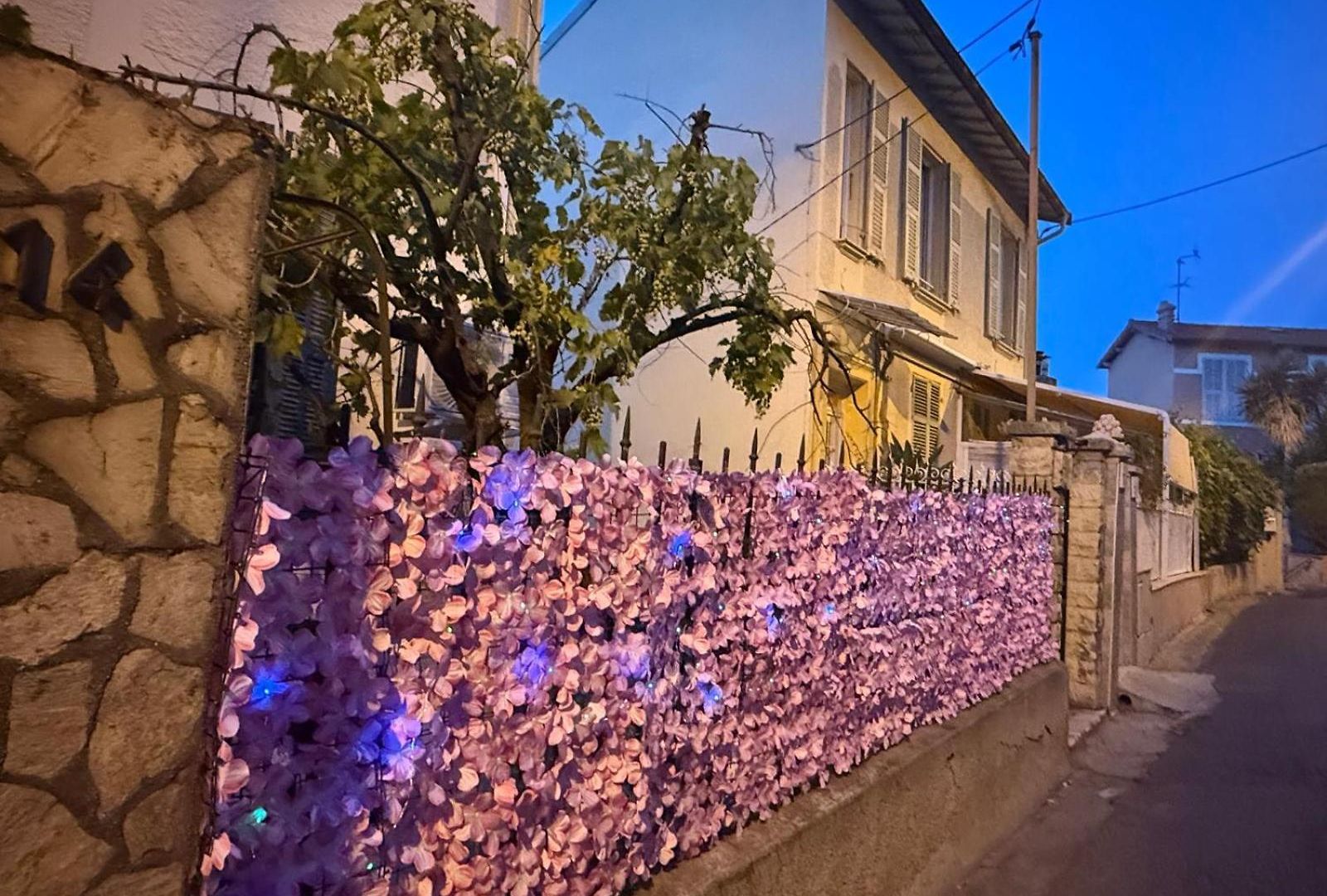 Appartement Charming House Near Center With New Air Conditioner Nice