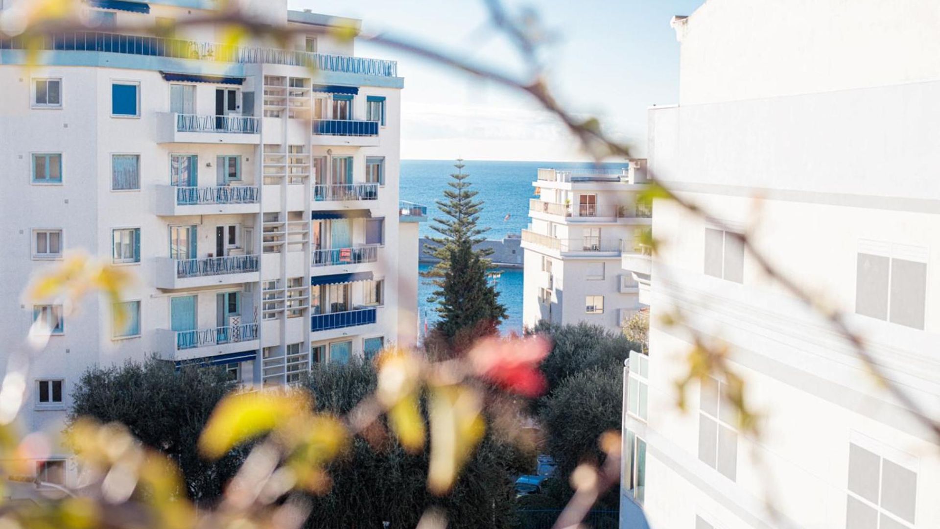 Coco Ap4476 By Riviera Homes Apartment