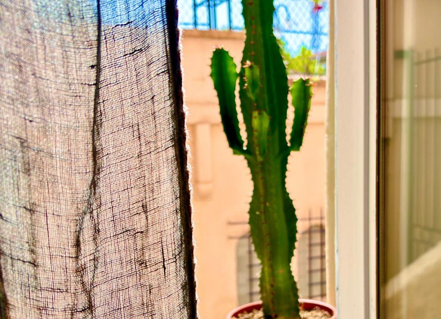 Appartement Gardenia