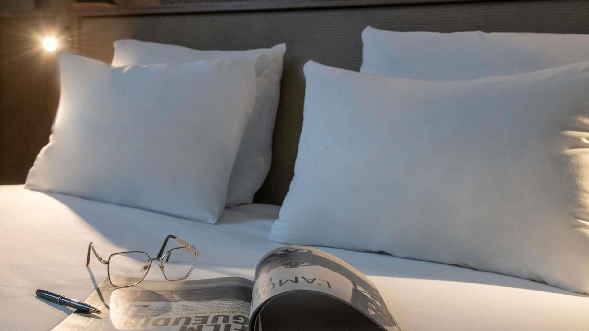Novotel Airport Hotel Nice