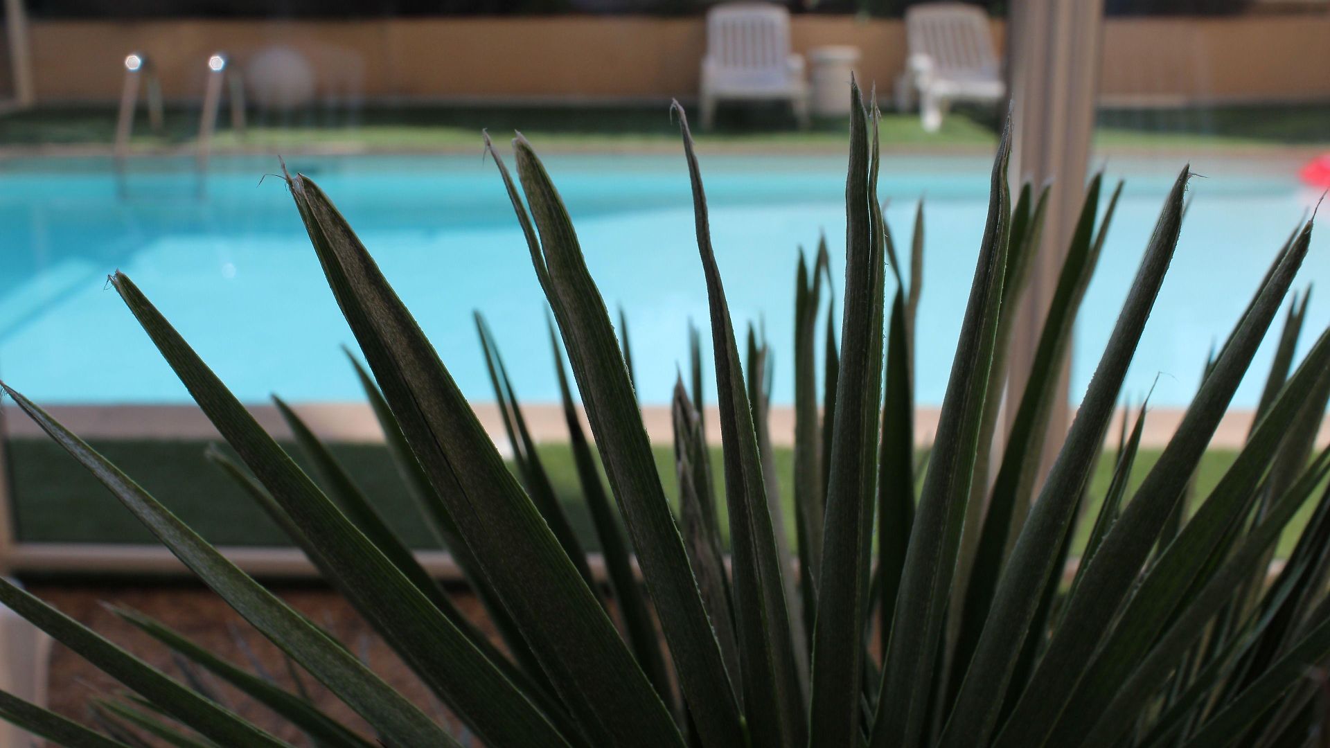 Ibis Centre Gare 3*