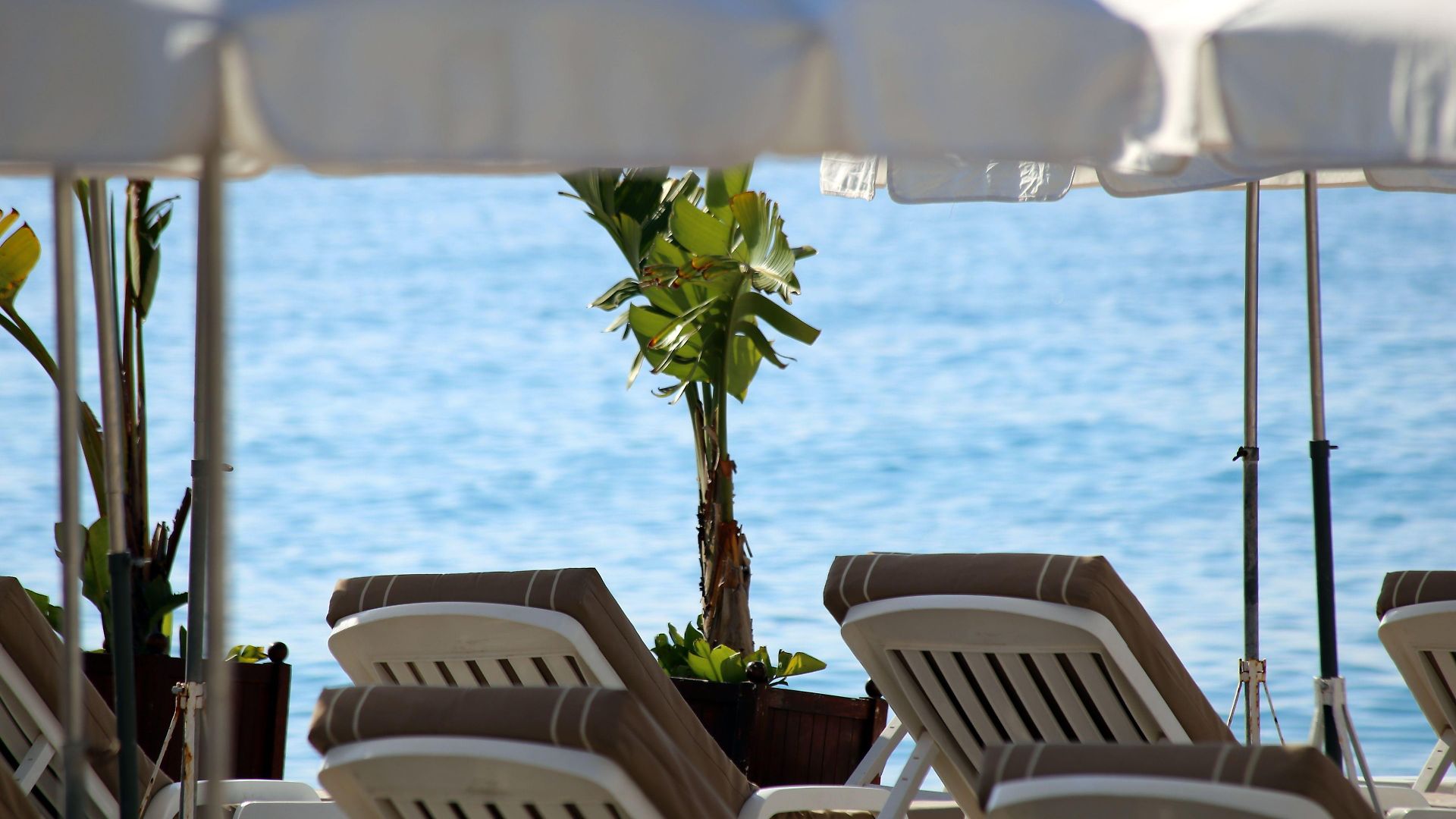 Hotel Ac By Marriott 4*