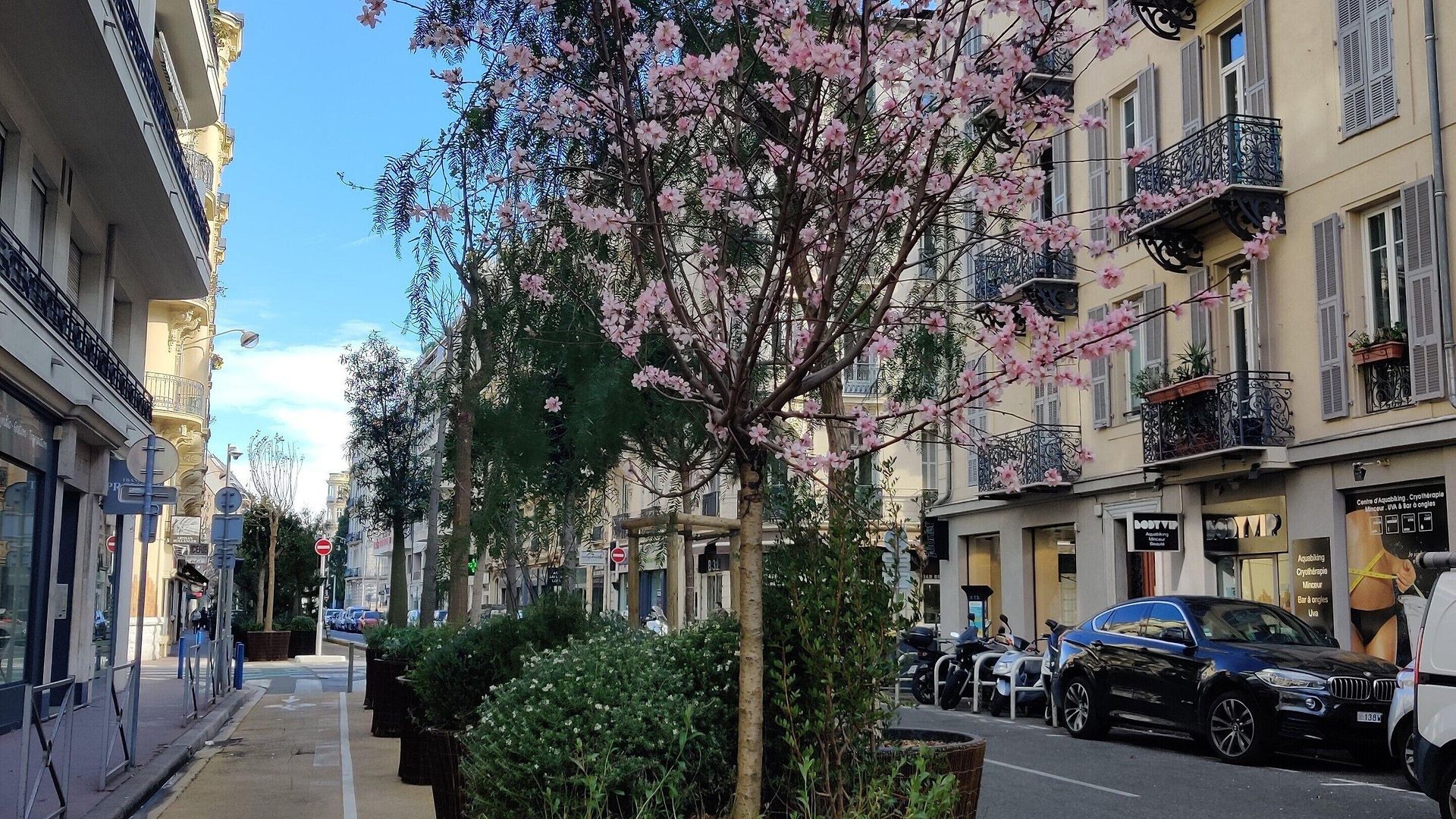 Les Cigales Hotel Nice
