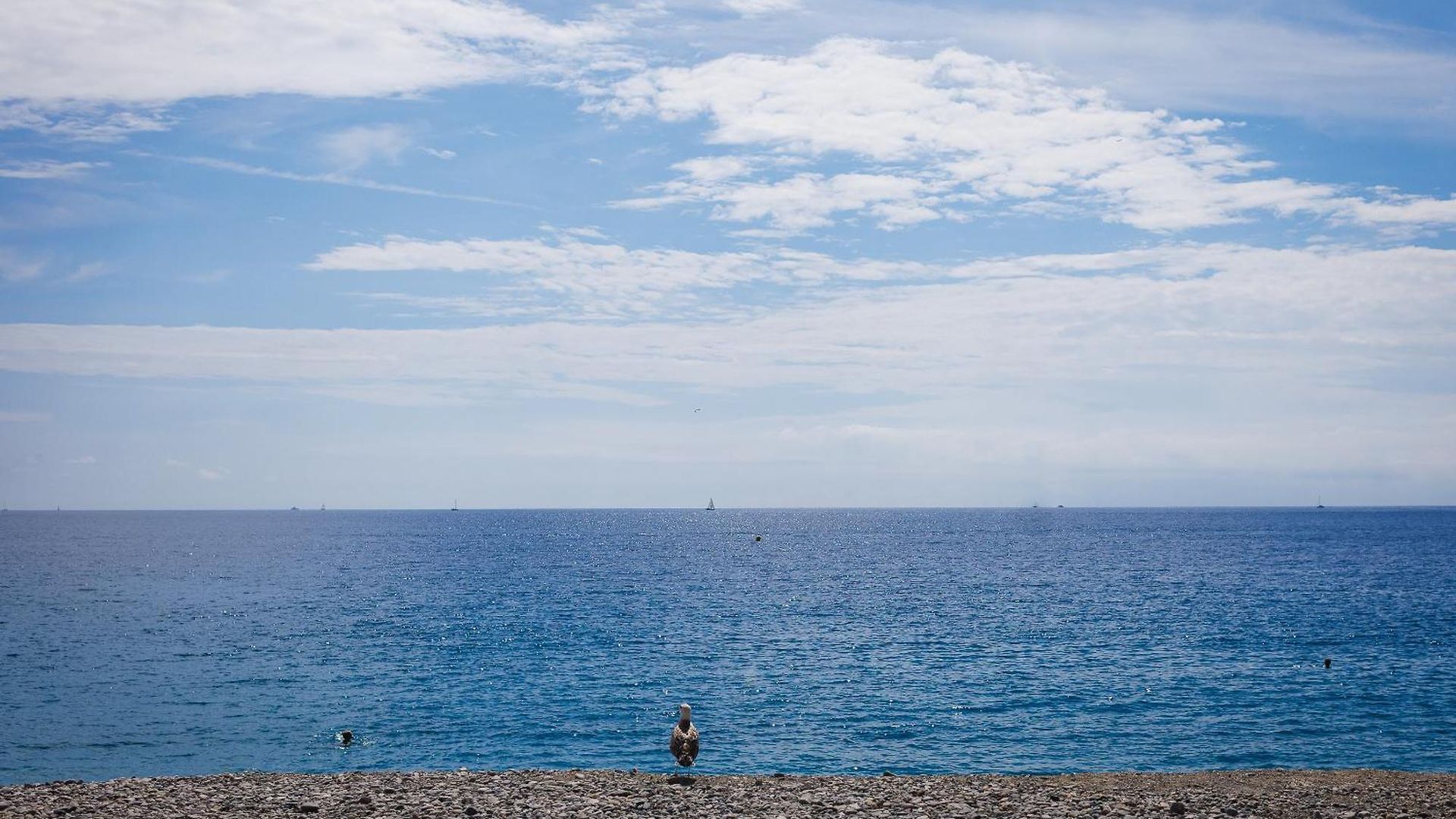 Et Salsa Promenade Des *