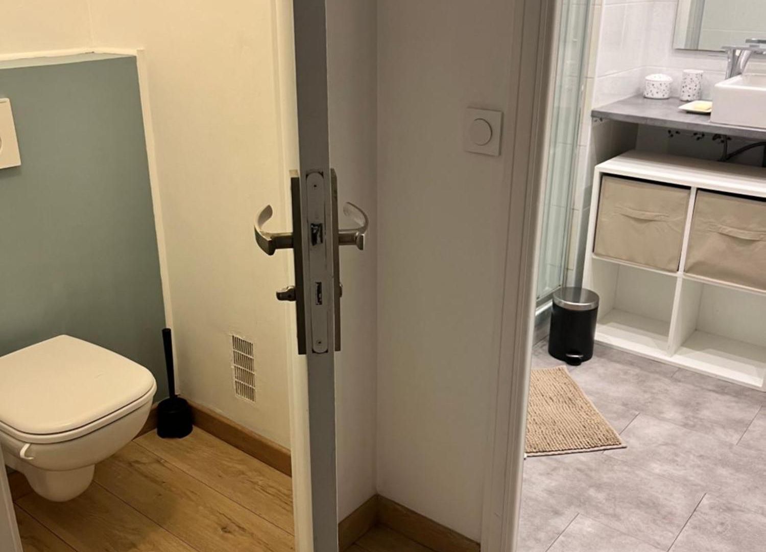 Bel Spacieux Avec Joli Balcon Arboré, Calme, Bien Situé, Centre Appartement