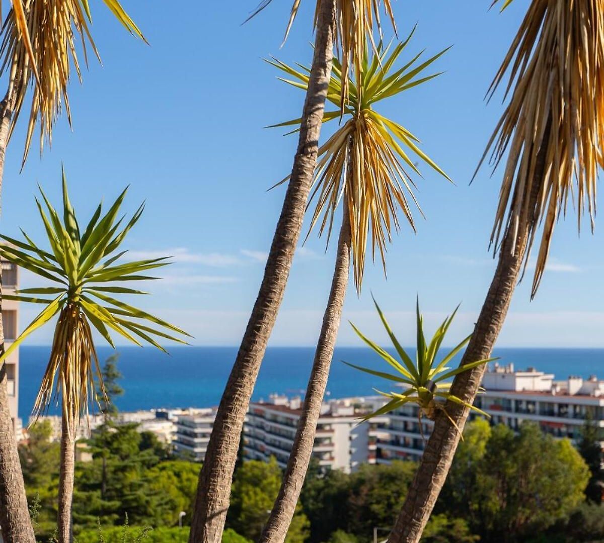 Azzuro - Mare E Terrazza Appartement Nice