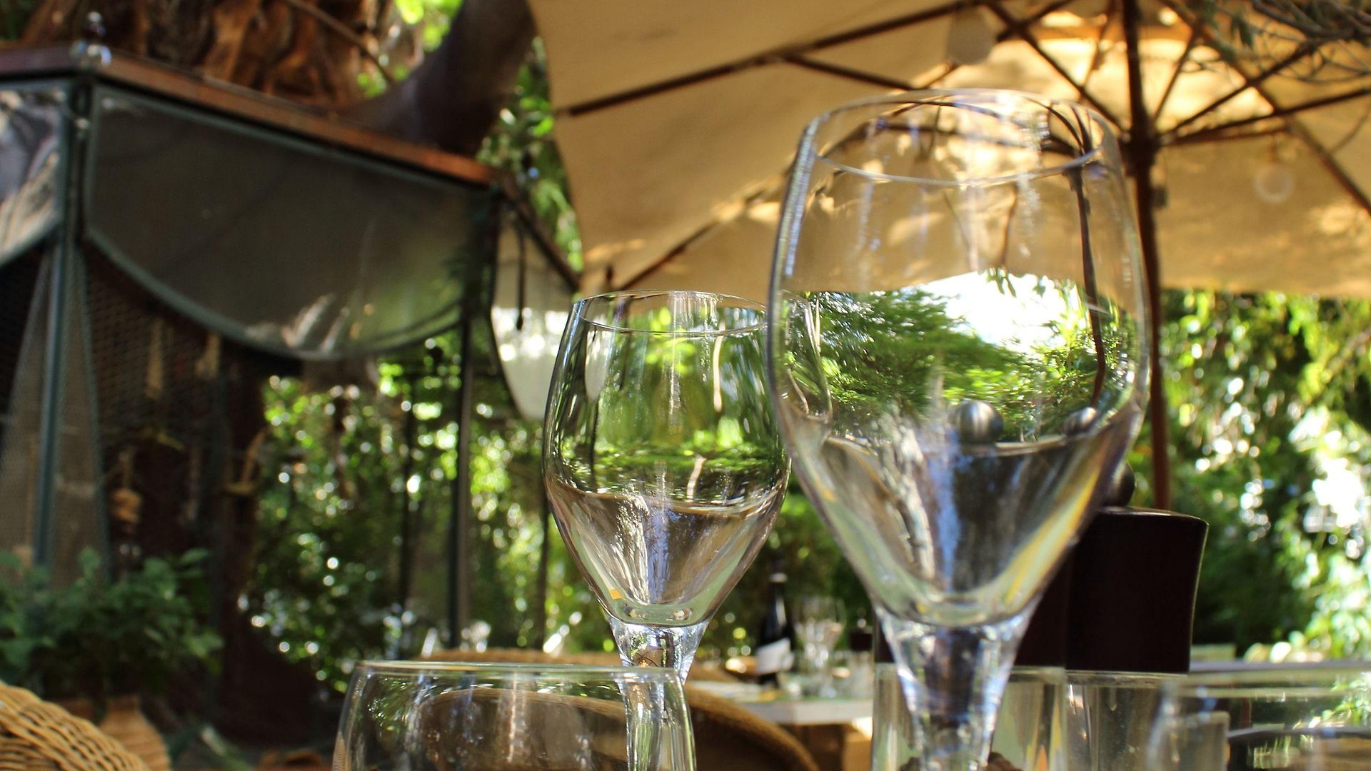 Le Windsor, Jungle Art 4*