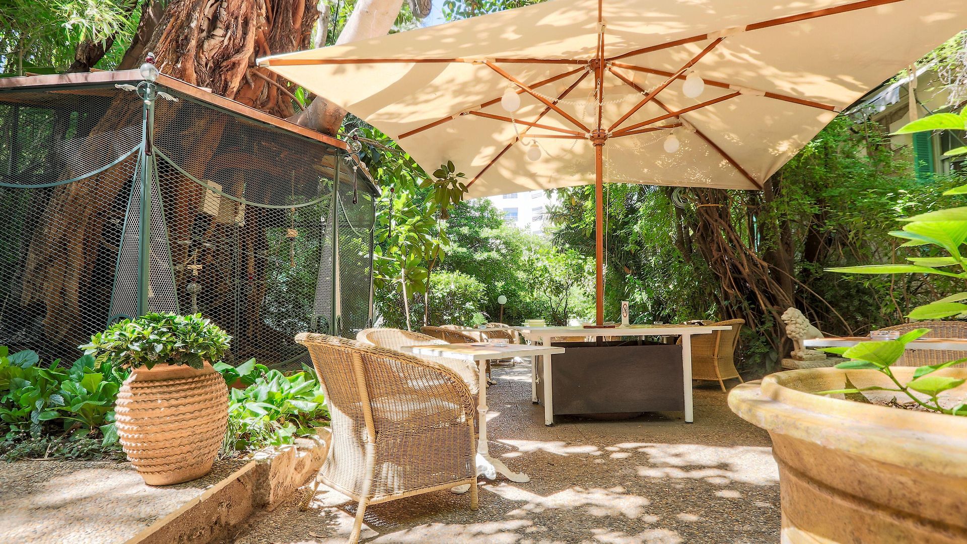 Le Windsor, Jungle Art Hotel 4*