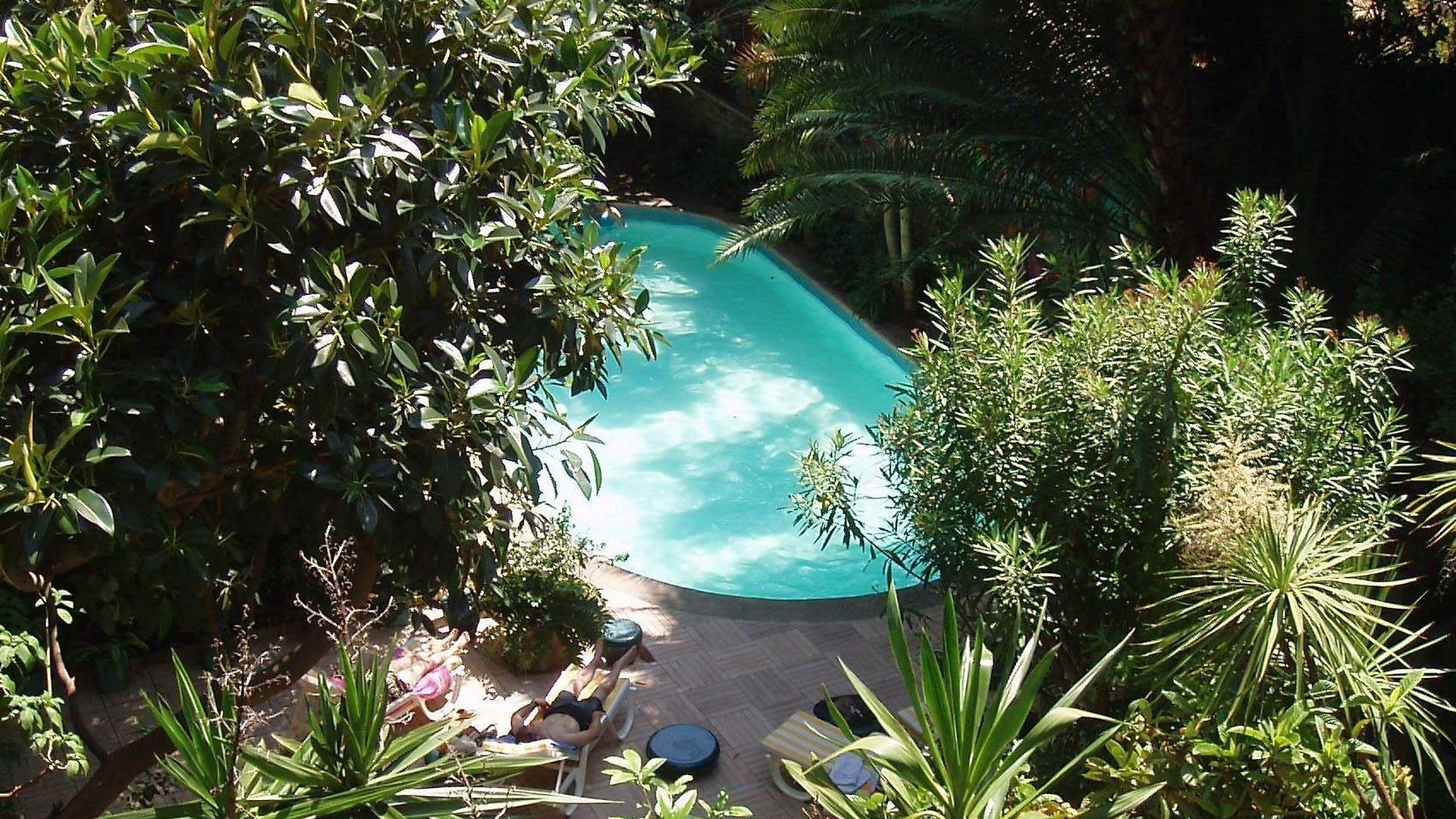 Hotel Le Windsor, Jungle Art 4*