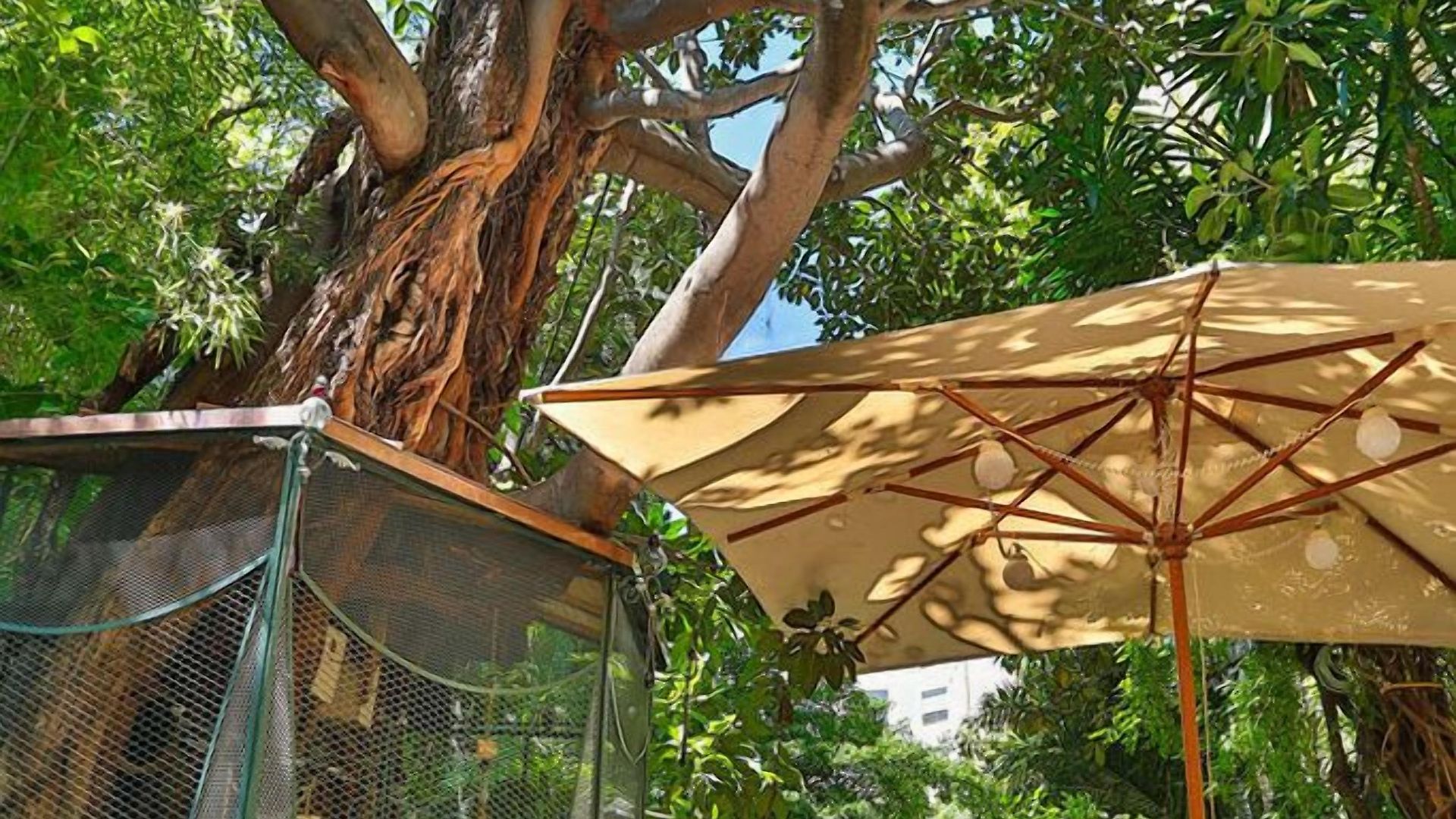 Le Windsor, Jungle Art Hotel 4*