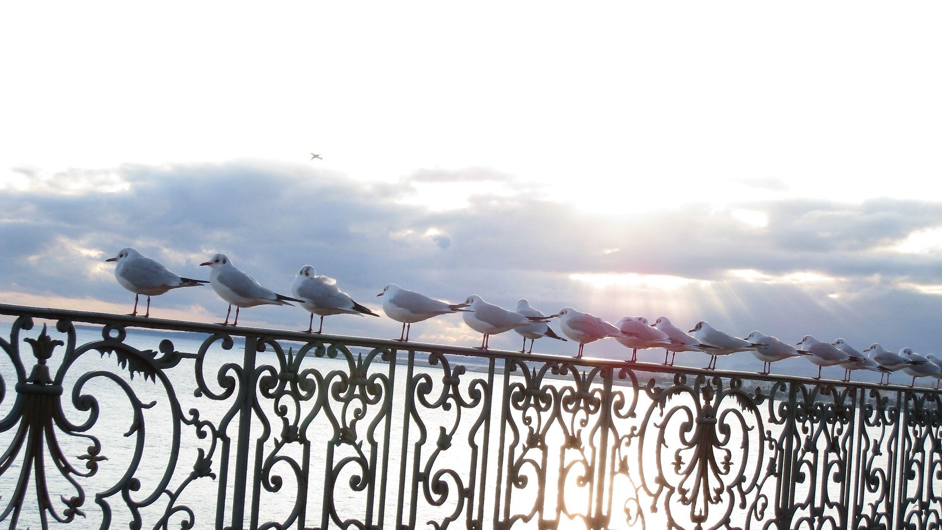 Le Royal Promenade Des Hotel 3*