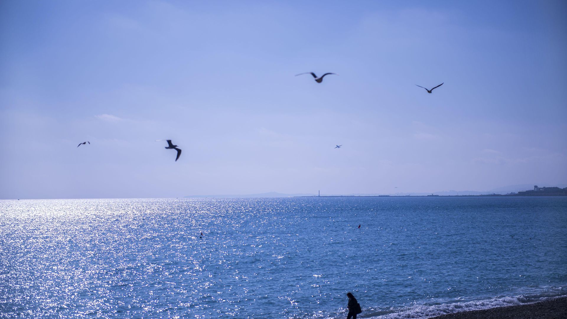 Le Royal Promenade Des 3*
