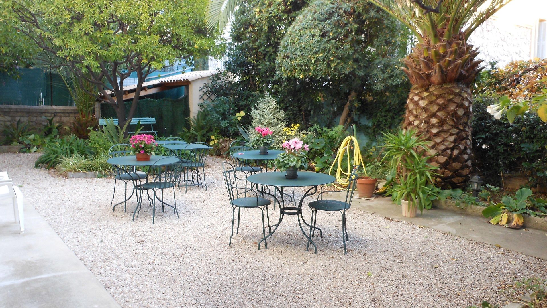 Les Cygnes Hotel 3*