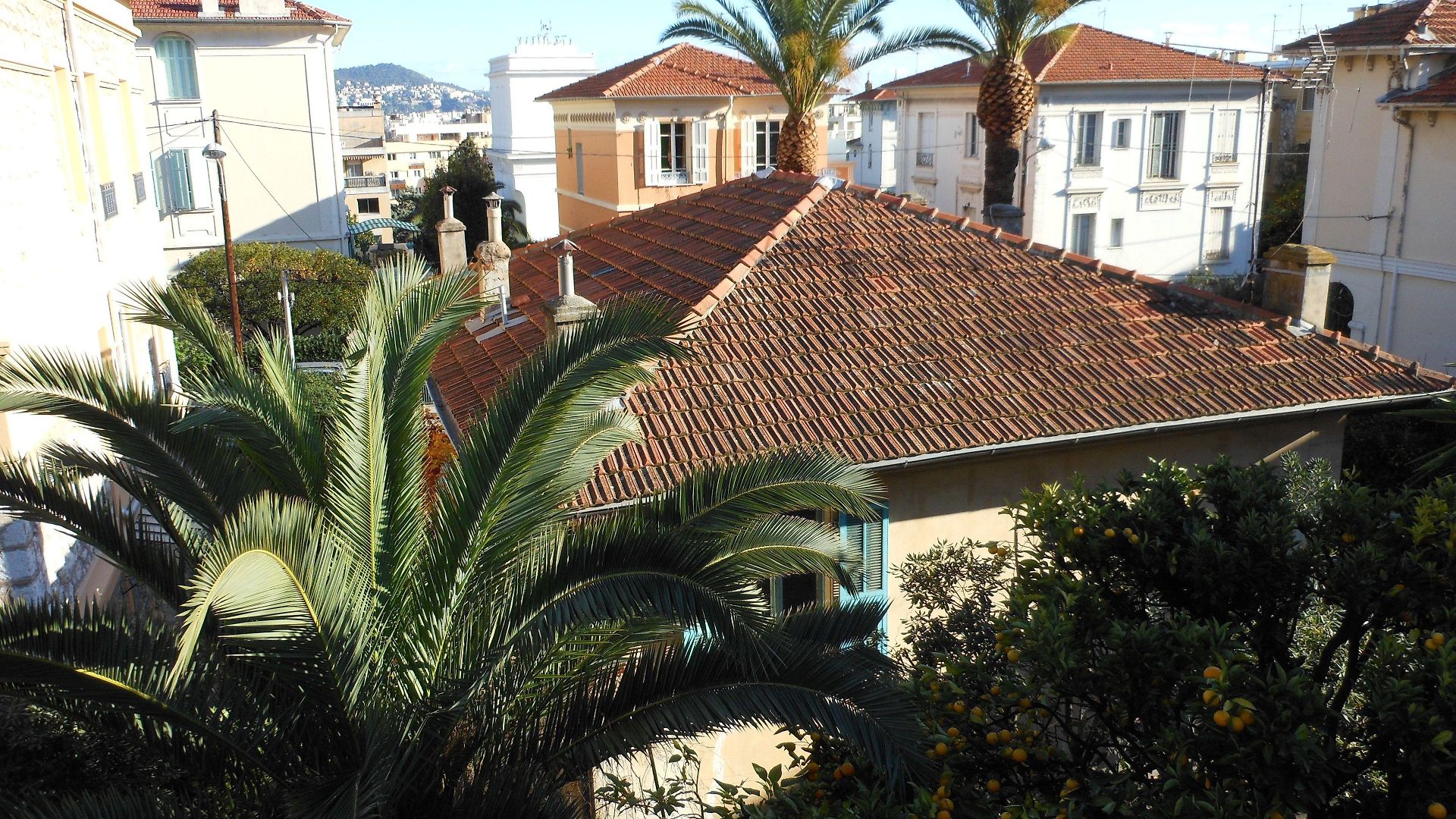 Les Cygnes Nice