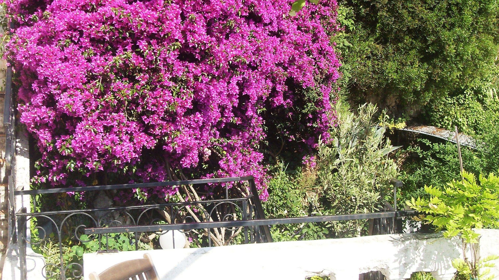 Hotel Le Panoramic Boutique