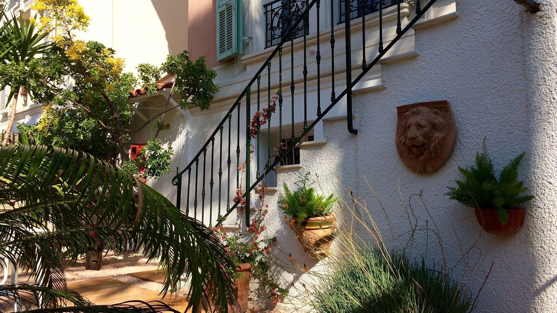 Hotel Rose 3*