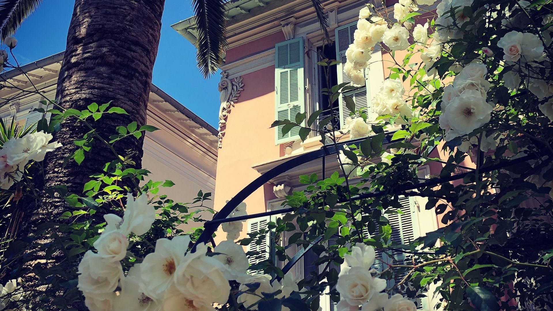 Rose Hotel Nice