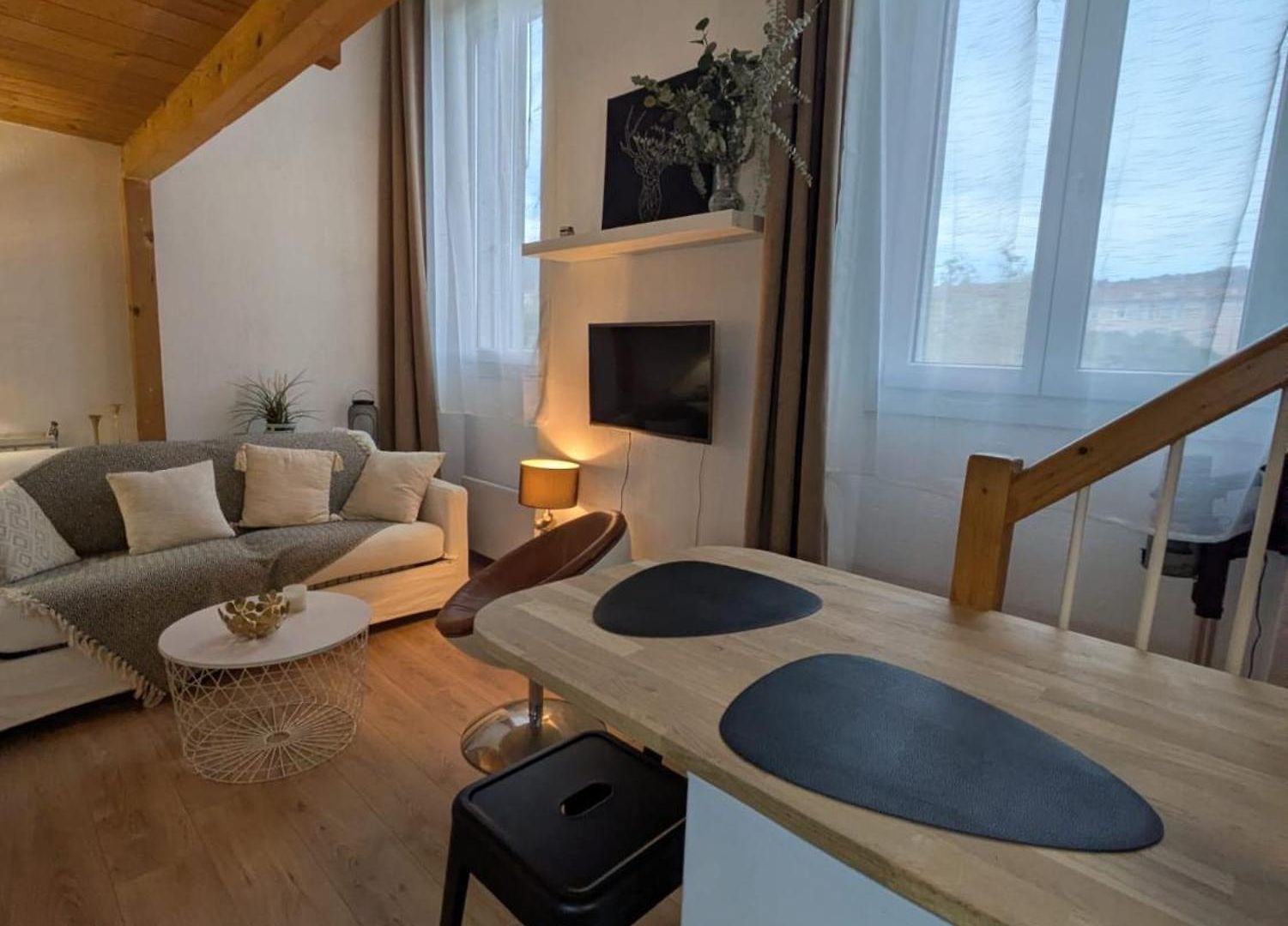 Appartement Palais Des Arts