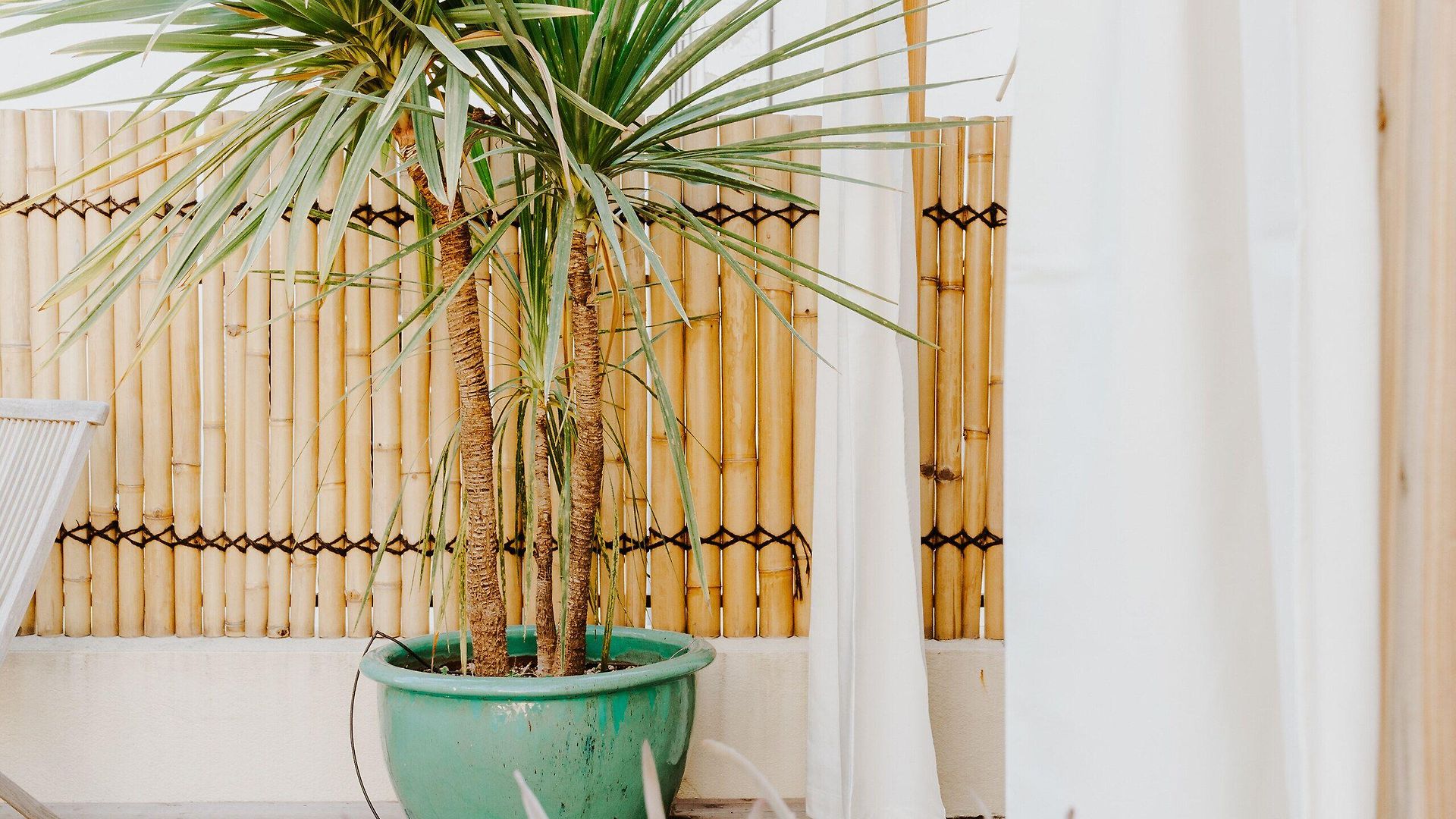 Palm Boutique