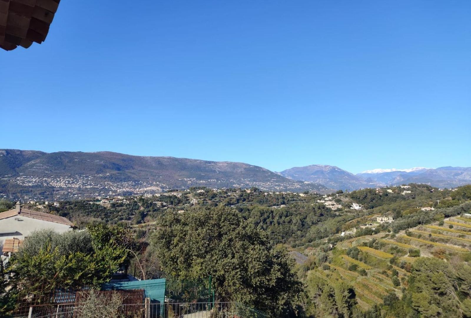 Maioun Cremat