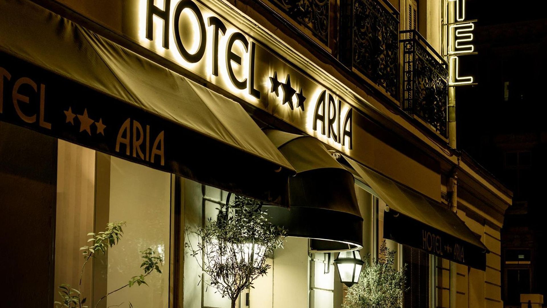 Aria Nice